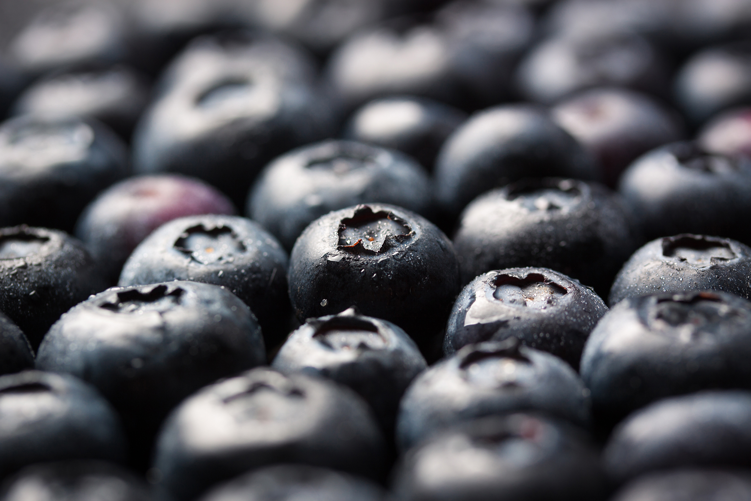 Mexico Jumbo Blueberry – FattFruits