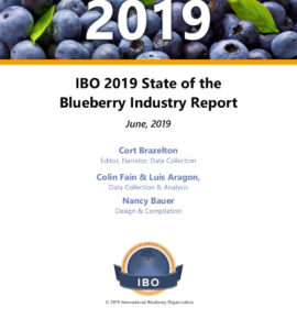 Blueberry International Organization